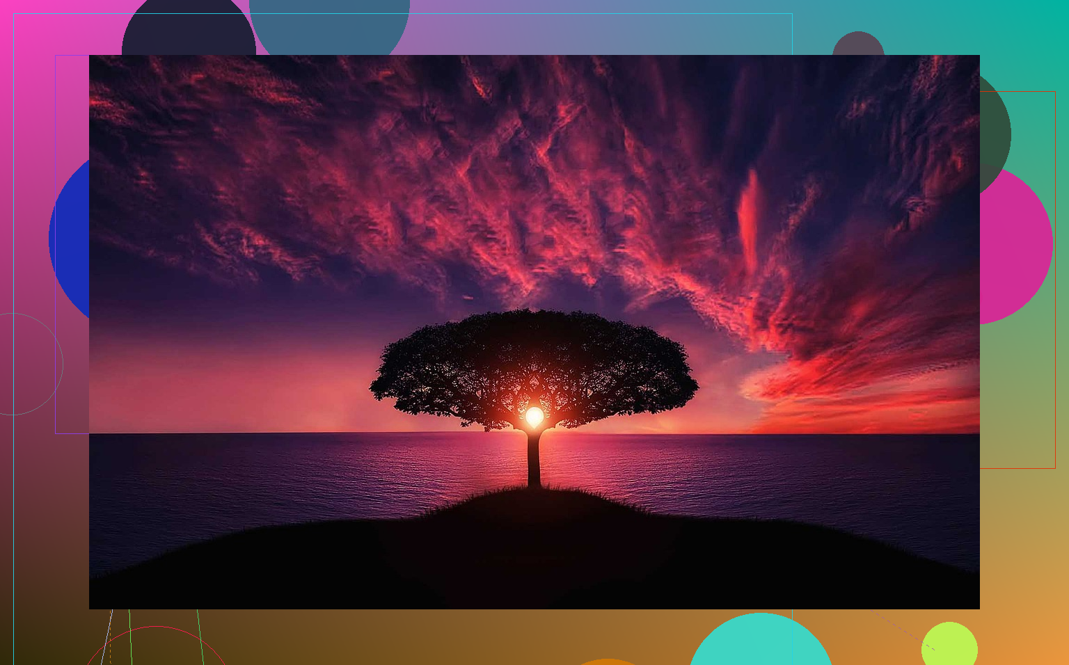 Docast App Preview