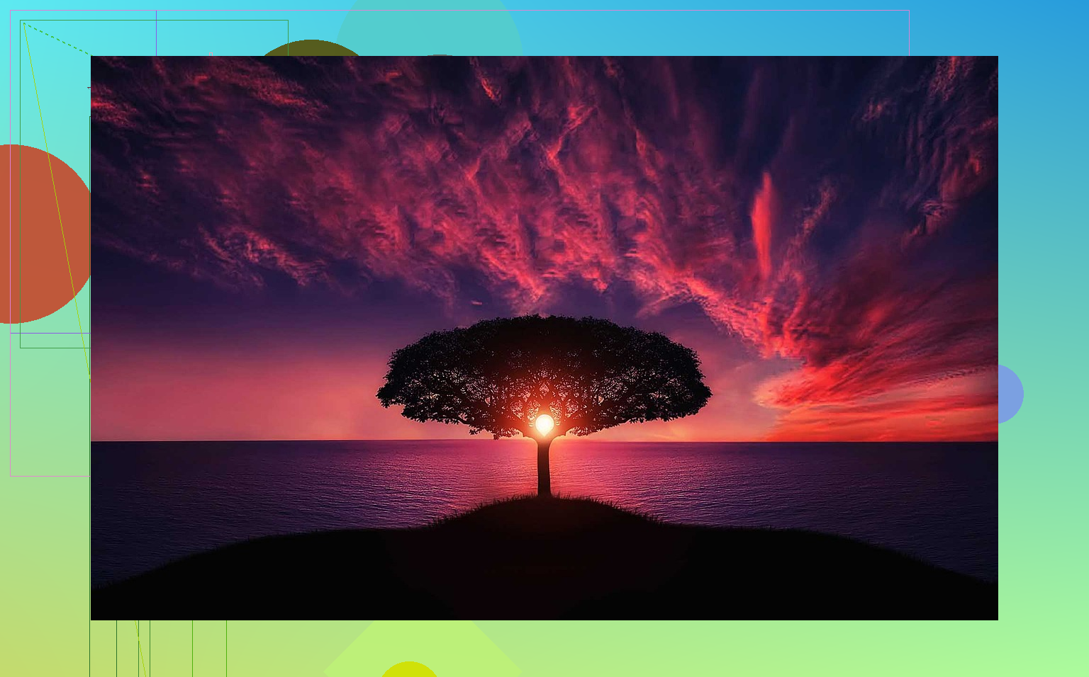 Image de l