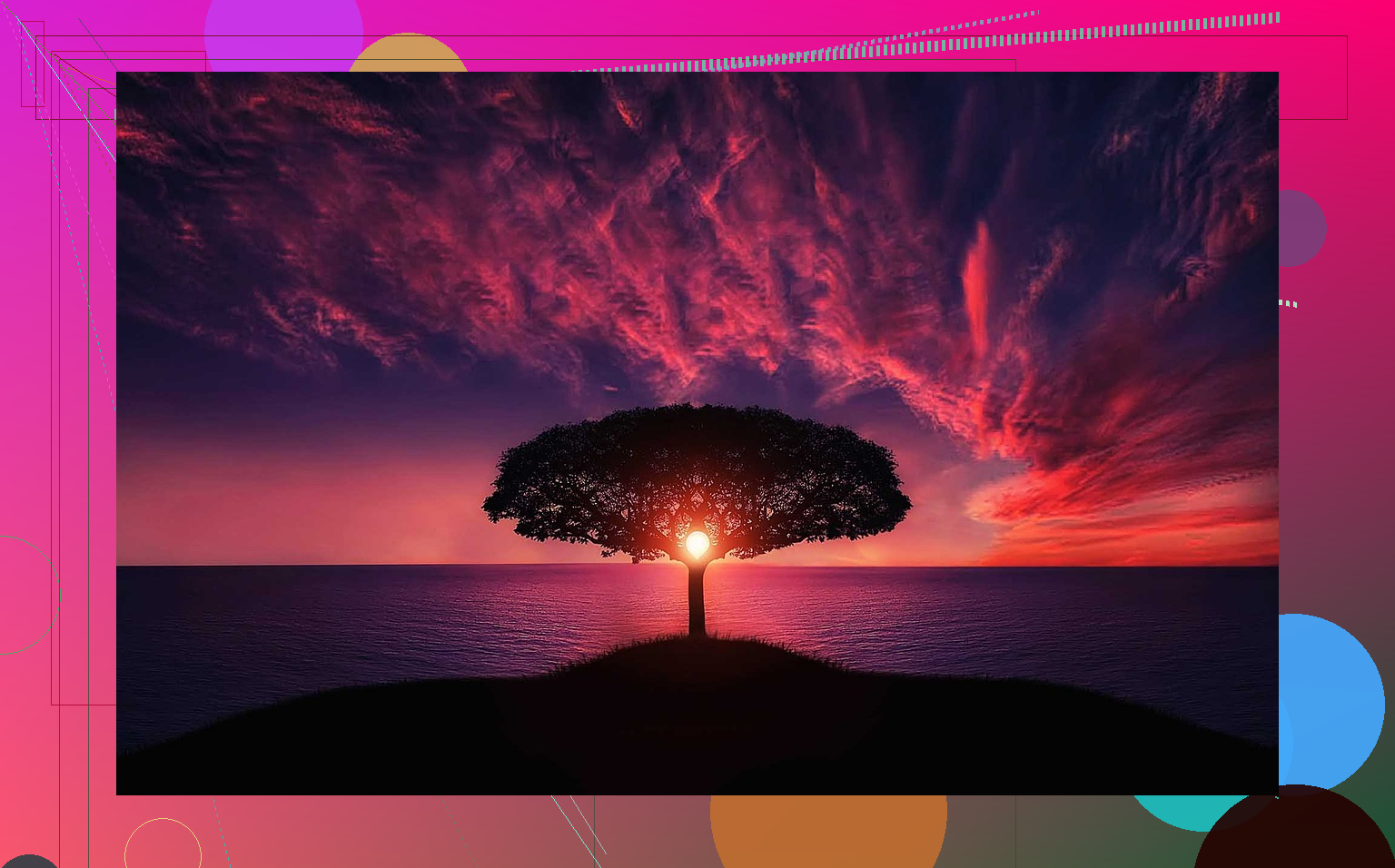 Um visual ilustrativo da interface do aplicativo Docast